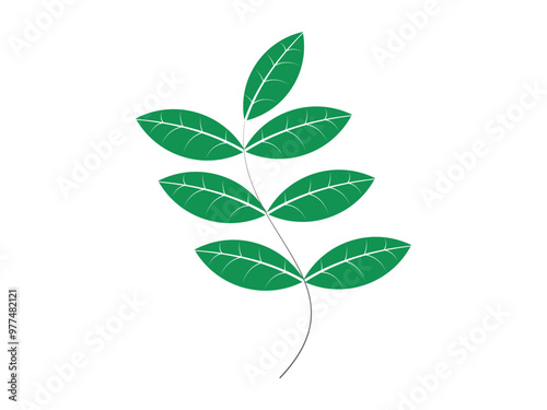 modern  leaf vector for free download
