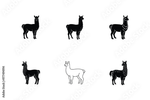 Set of Alpaca silhouette vector illustration