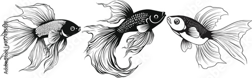 Set of Hand Drawn Betta Fish Engraving  Detailed Aquatic Vector Art.