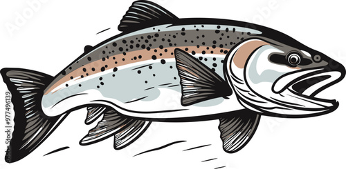 Detailed Hand Drawn Trout Fish vector Illustrations.