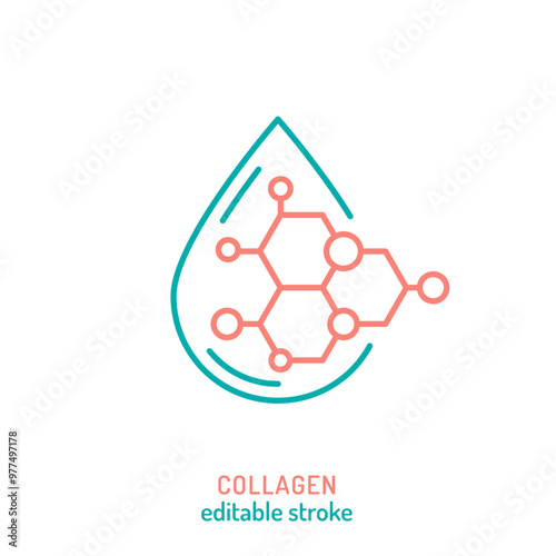 Collagen line icon. Connective tissue protein pictogram. photo