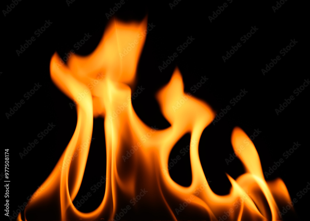fire on a black background, burning and hot flames, close view fire on a black background, burning and hot flames, close view