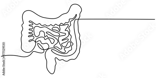 Intestines. Human body organ. Continuous line illustration of Internal digestive system isolated on white background. Anatomical human theme. Medicine scheme anatomy hand draw pro vector Illustration