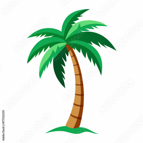 palm tree illustration