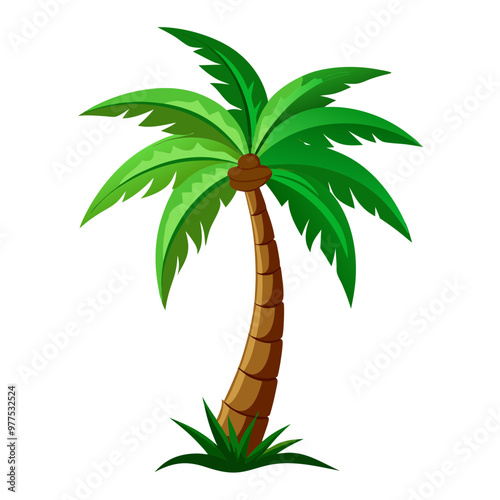 palm tree illustration