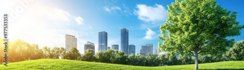 Green City Park with Skyscrapers and Blue Sky