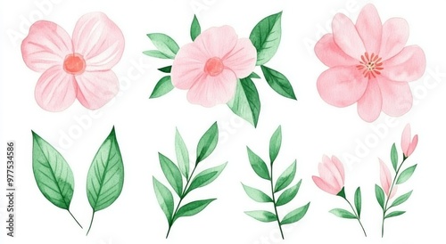 An illustration of wild flowers, leaves, and grass in watercolor. Vintage style modern illustration.