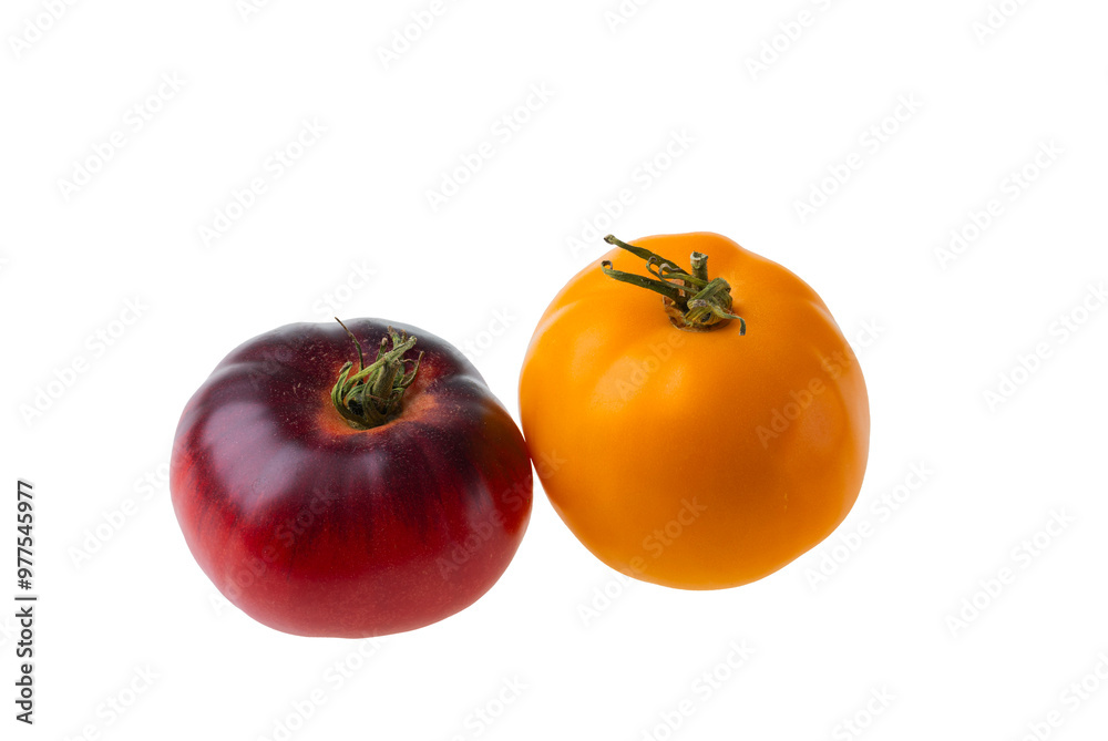 Close-up view of two isolated tomatoes, Black Prince and yellow tomato, on white background. Close-up view of two isolated tomatoes, Black Prince and yellow tomato, on white background.
