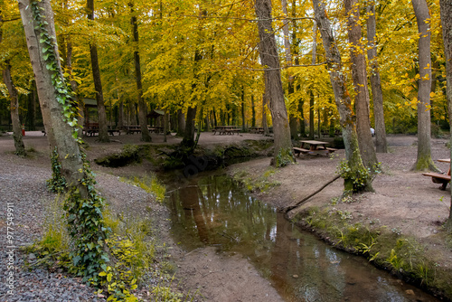 Belgrad Wood view in Istanbul photo