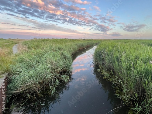 Landscape of beautiful estuary river nature reserve at Walberswick, Southwold, Suffolk uk, with green reeds growing on sandy bank in early evening light with blue pink Summer skies peaceful no people