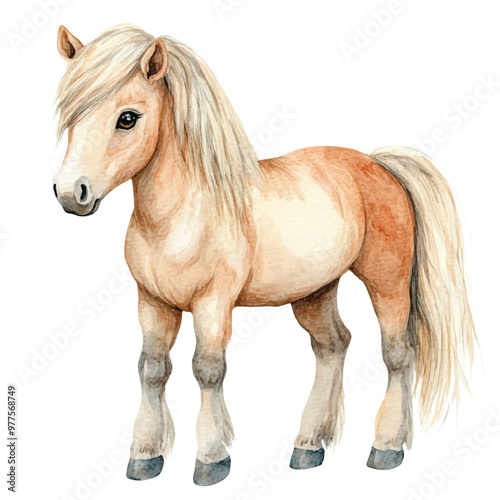 Horse watercolor clipart illustration isolated