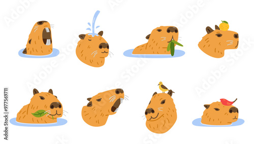 Cute capybaras heads with different emotions flat vector illustrations set isolated on white. Capybara chilling under water jet, swimming while eating green leaves, holding tangerine on it's head