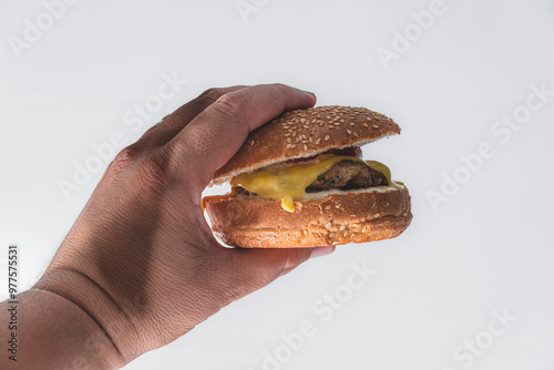 Cropped hand holding burger against white background