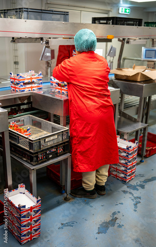 lady working on fruit packing line