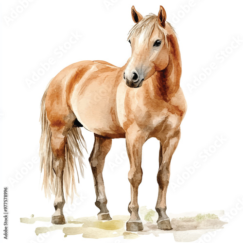 Horse watercolor clipart illustration isolated