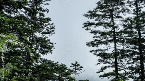 Scenery of Shennongjia, Hubei, China