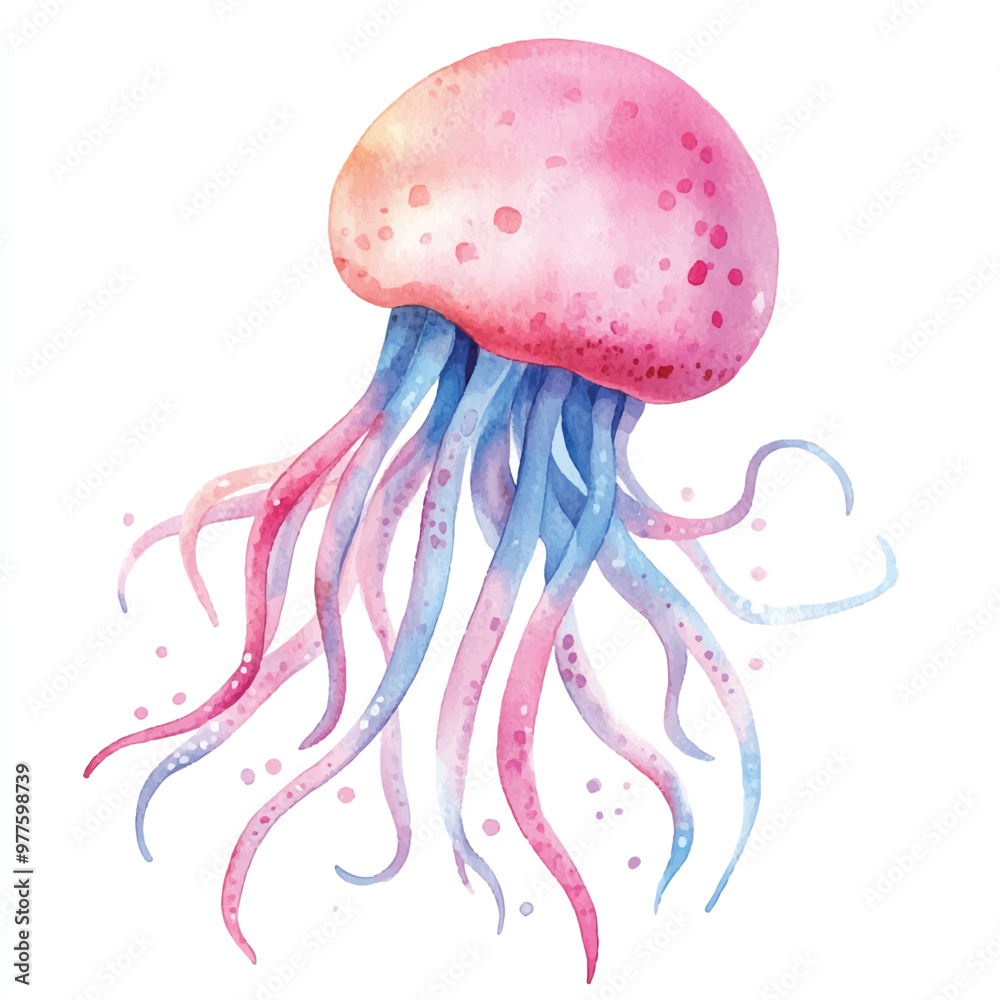 Fototapeta premium Jellyfish watercolor clipart illustration isolated