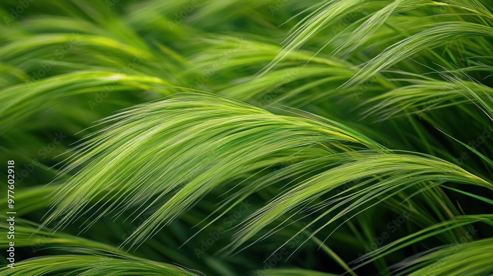 Close-up of vibrant green grass blades gently swaying in the breeze with a natural outdoor setting Close-up of vibrant green grass blades gently swaying in the breeze with a natural outdoor setting