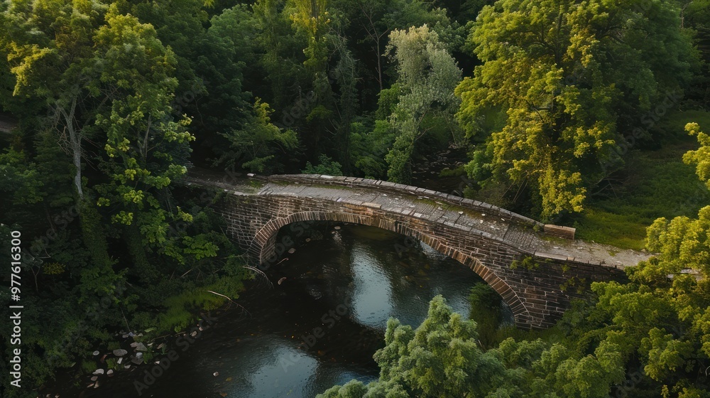 Stone Bridge Over River in Lush Green Forest Stone Bridge Over River in Lush Green Forest