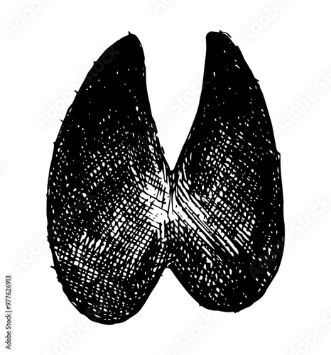 Llama - paw print vector illustration