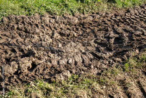 Wiese mit hohem, grünen Gras, durchzogen von tiefen Spurrillen, die mit Matsch gefüllt sind photo