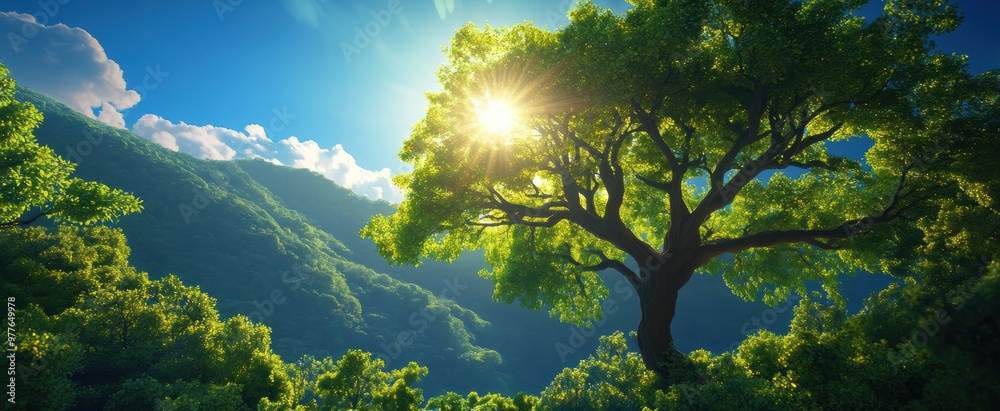 A serene landscape featuring a lush tree illuminated by sunlight against a backdrop of mountains and blue sky. A serene landscape featuring a lush tree illuminated by sunlight against a backdrop of mountains and blue sky.