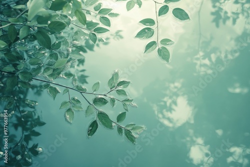 down shot, light green water surface, light aquamarine, ethereal details, dreamlike naturaleza, light color, dreamy reflection