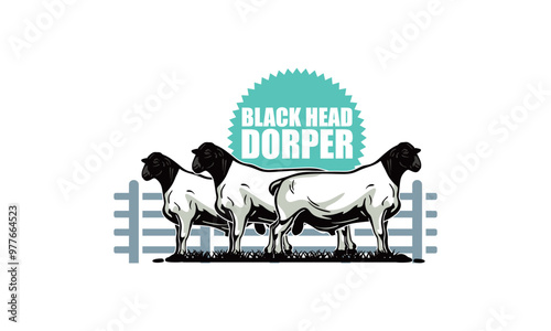 dorper black head sheep poster, silhouette of great ram standing vector illustrations