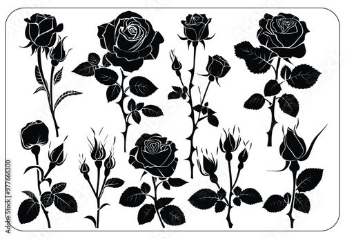 pattern with roses
