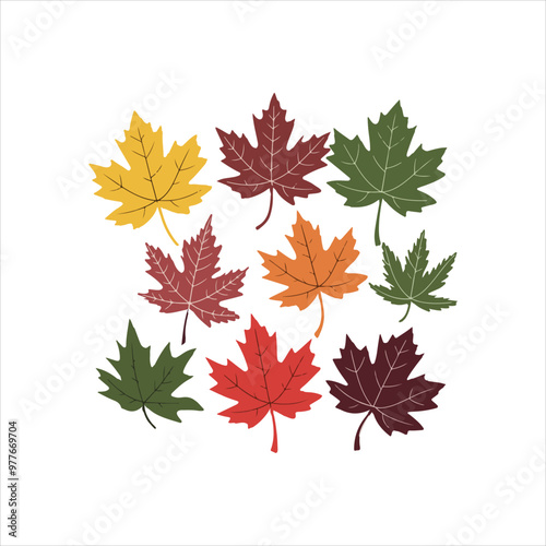 Design collection of maple leaves arranged on a white background.