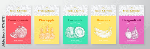 Fruits and Berries Pattern Label Templates Set. Vector Packaging Design Layout Collection Modern Typography Banner with Hand Drawn Pomegranate, Bananas, Coconut, Pineapple Sketches Background Isolated