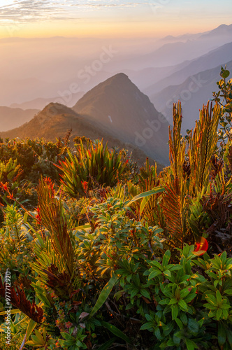 mountains silhouettes with tropical blue and orange colors of sunrise in the Colombian mountain range with a blur and paramos vegetation in an invitation to discover beautiful places photo