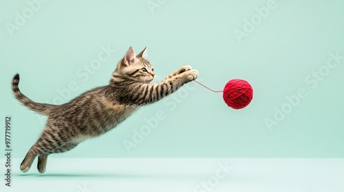 A playful American cat chasing after a ball of yarn, its paws stretched out in mid-air, creating a lively scene on a light solid color background