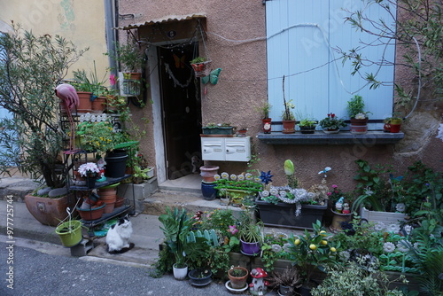 many flower pots and trees on the street by the facade of a private house in the village of Les Mées, france with a cat