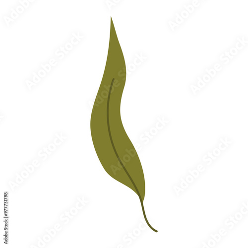 Hand draw botanic leaf isolated on white background. Vector illustration in flat doodle style. Simple single icon of leaf. Green plant,stamp, leaf shape, leaf stencils.