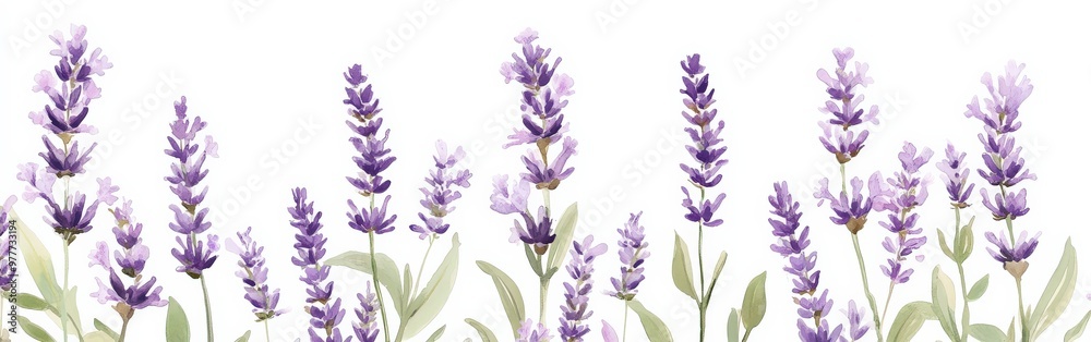 Beautiful lavender flower pattern with soft purples and greens, botanical style Beautiful lavender flower pattern with soft purples and greens, botanical style