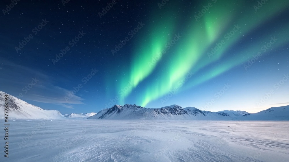 Fototapeta premium Southern lights, colorful aurora, night sky over Antarctic landscape.