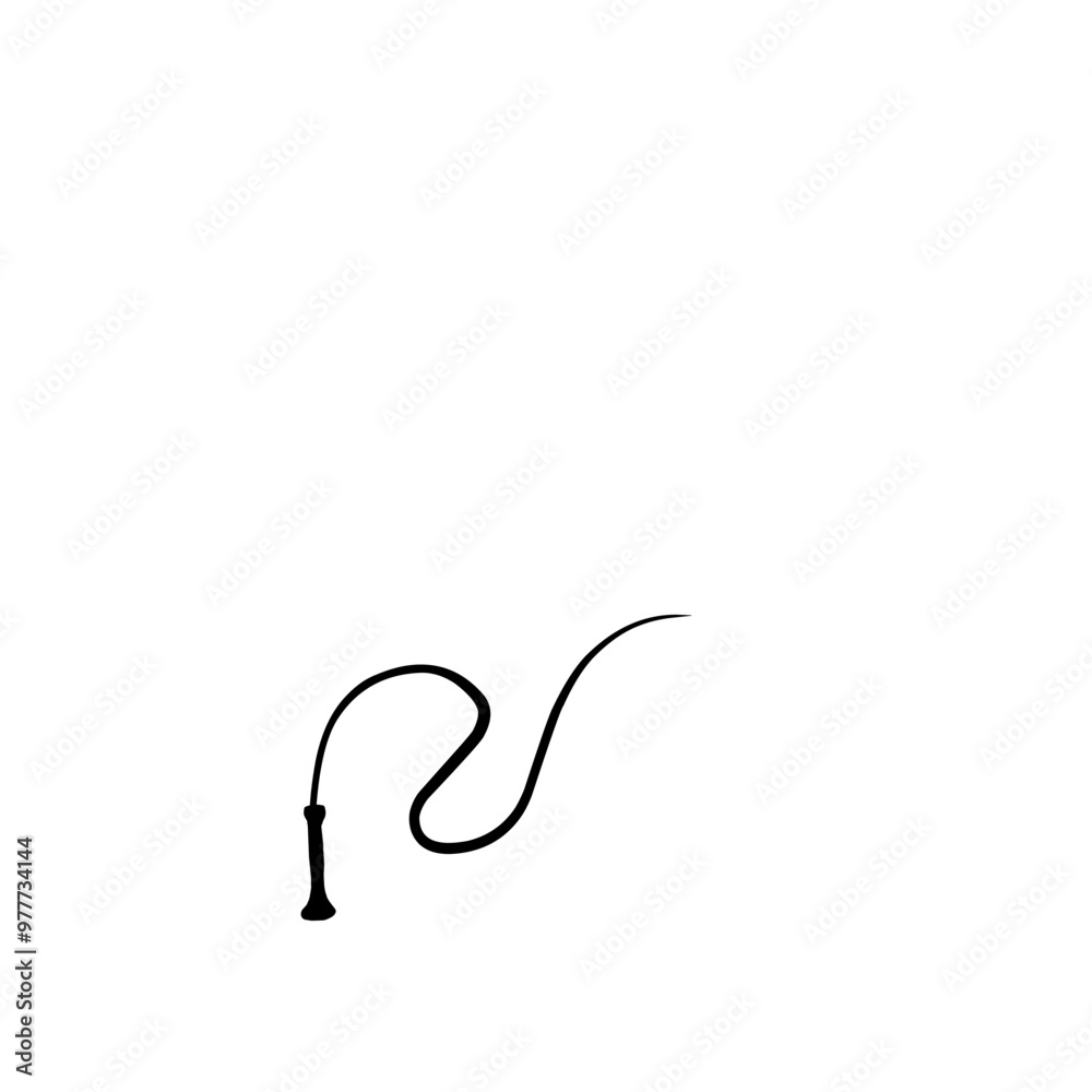 silhouette whip icon