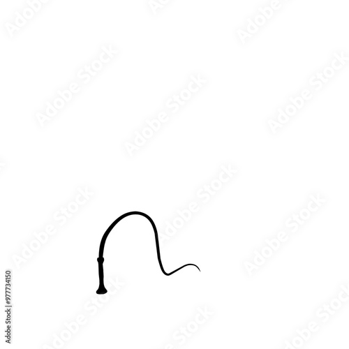 silhouette whip icon