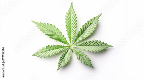 A green cannabis leaf is displayed on a white background, showcasing its distinct serrated edges and multiple pointed leaflets.