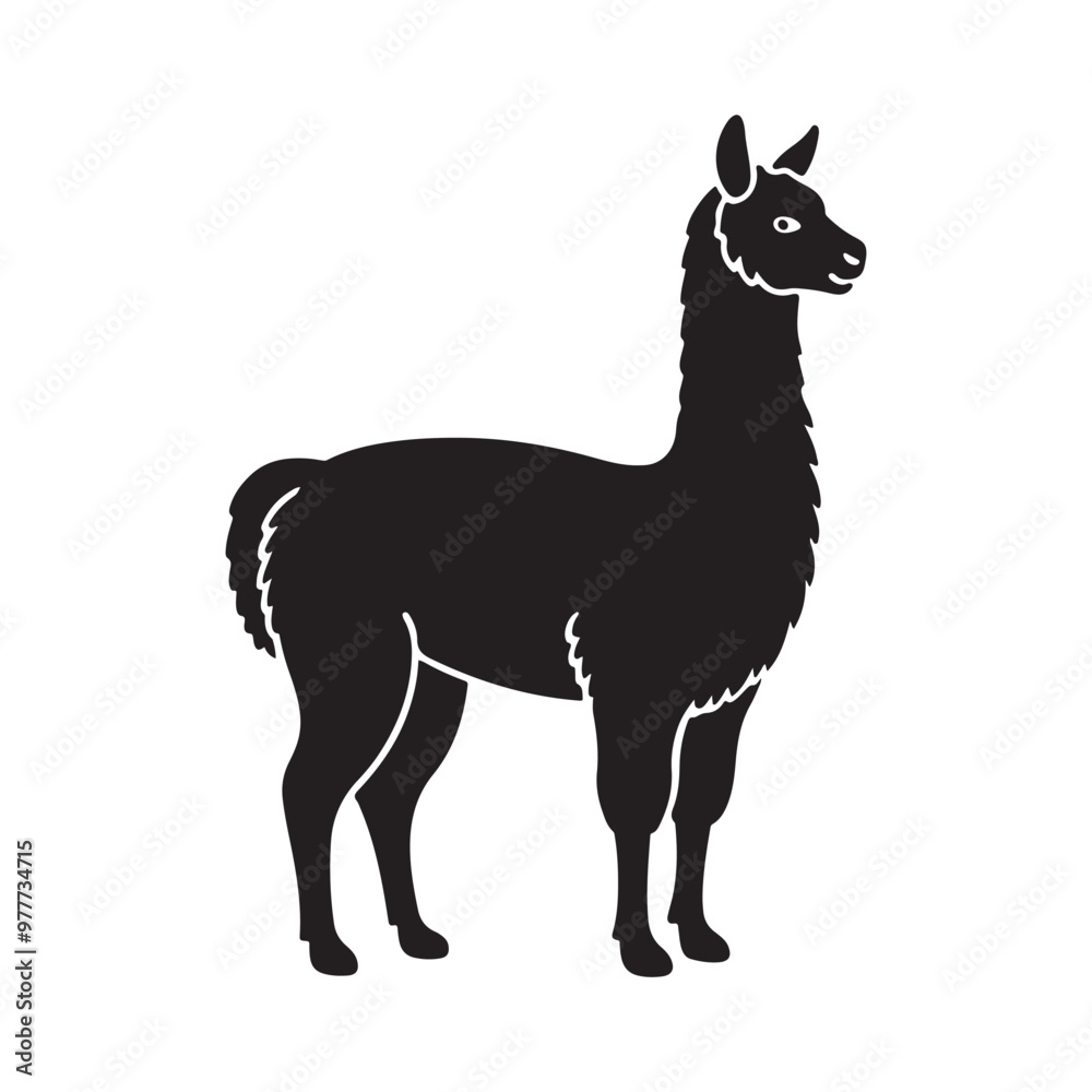 alpaca silhouette vector, black and white silhouette, vector and illustration