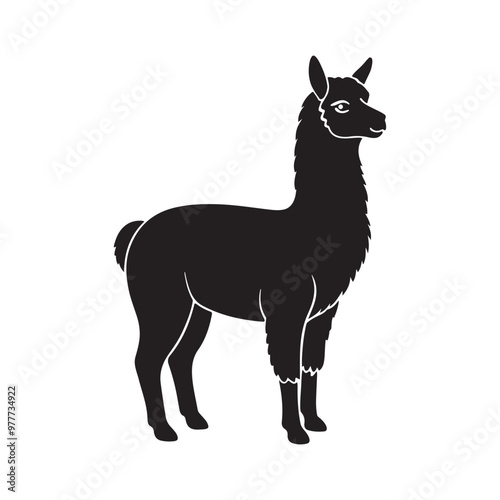 alpaca silhouette vector, black and white silhouette, vector and illustration