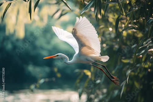 White egret bird flying through green leaves with sunlight shining through photo