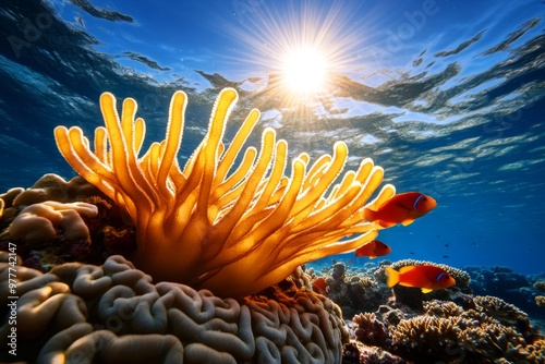 Fototapeta Naklejka Na Ścianę i Meble -  Calming coral reef glowing in the sunlight, with fish gently swimming through the peaceful waters