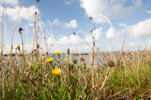 Whitehaven Lighthouse photo