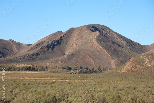 South African Safari