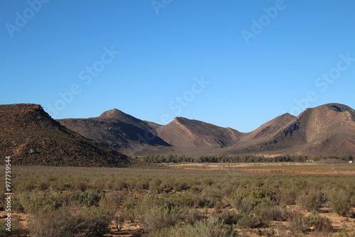 South African Safari