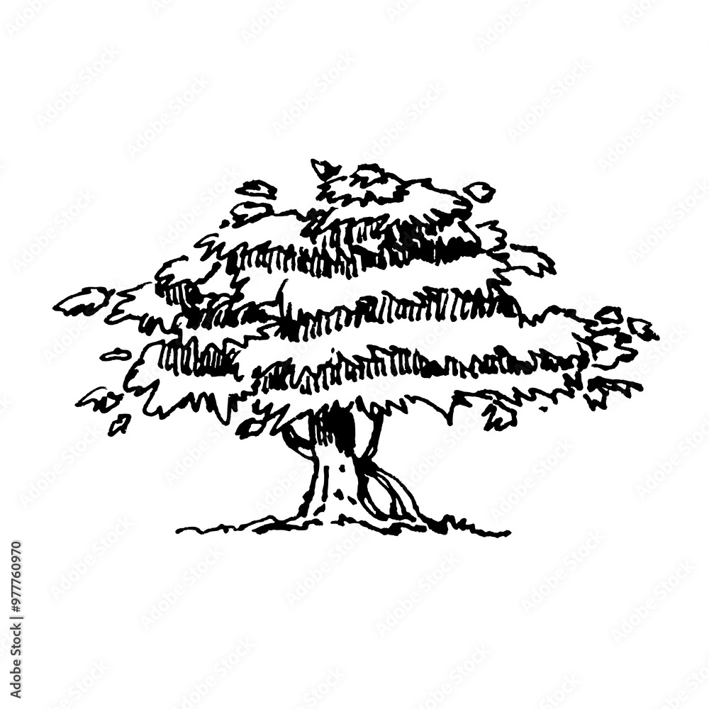 Obraz premium Tree line art ink hand made