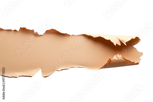 Single Piece of Paper with a Torn Edge, Isolated PNG with Transparent Background