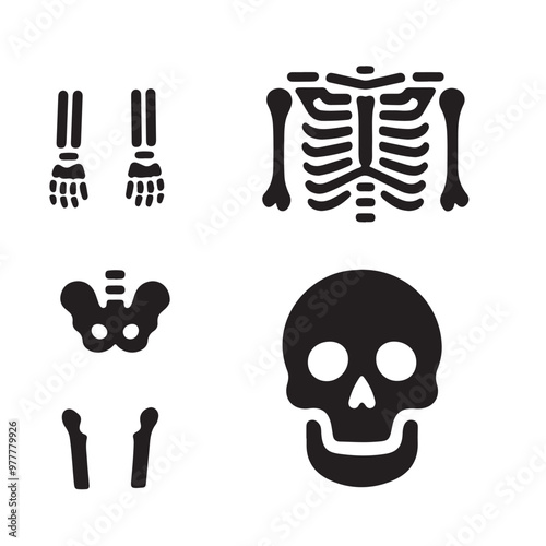  skeleton body part silhouette
